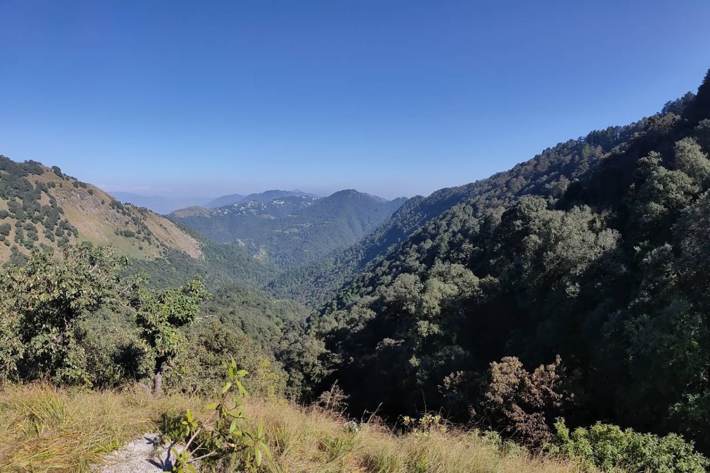 Benog Wildlife Sanctuary, Mussoorie